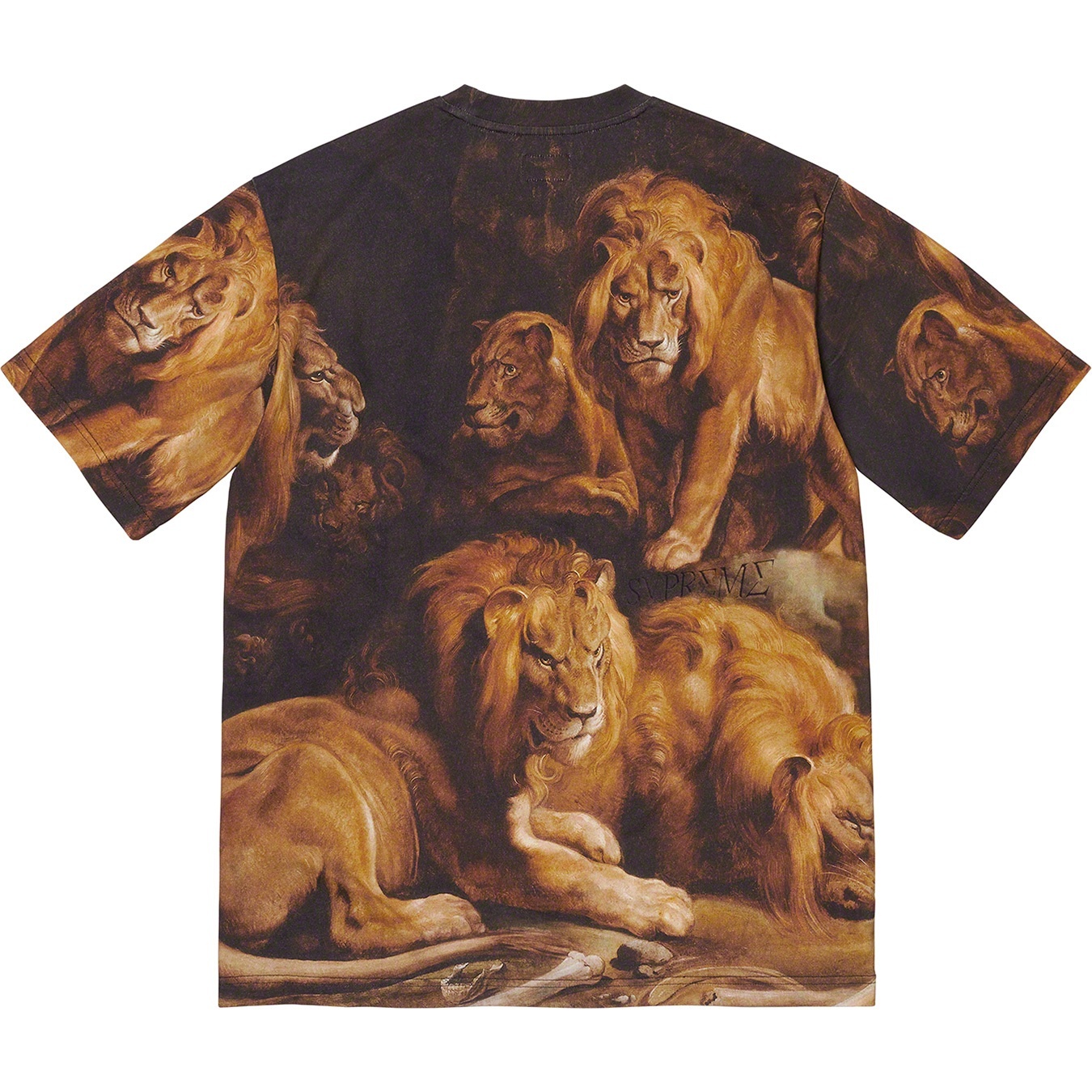 Lions' Den S/S Top view 3